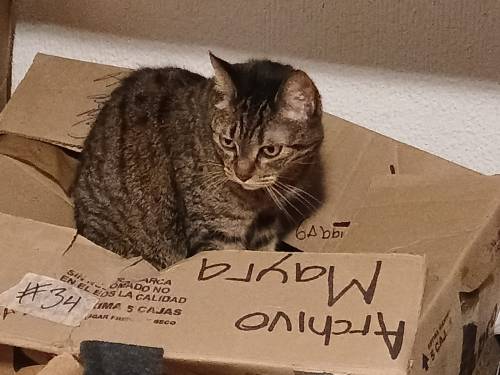 WhatsApp Image 2025-03-05 at 8.11.29 PM